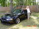My Wife and Her Stang